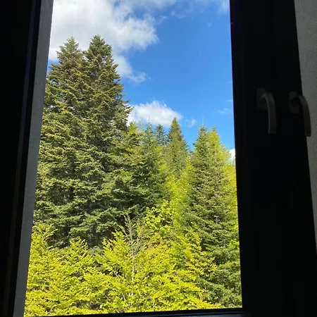 Mountain Dream Bjelašnica